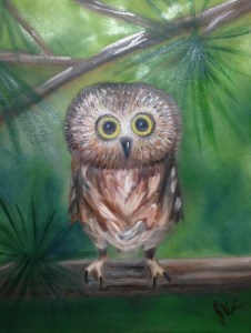 owl